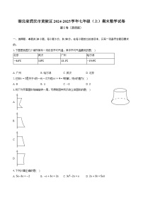 湖北省武汉市黄陂区2024-2025学年七年级（上）期末数学试卷