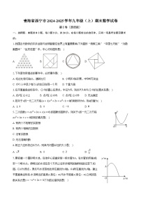 青海省西宁市2024-2025学年九年级（上）期末数学试卷