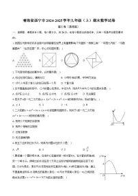青海省西宁市2024-2025学年九年级（上）期末数学试卷