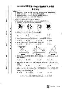 安徽省合肥市蜀山区2024--2025学年上学期九年级期末质量检测数学试卷