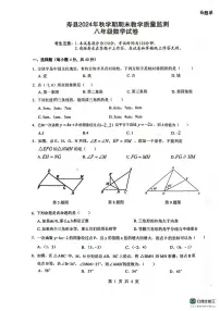 安徽省淮南市寿县2024-2025学年上学期期末教学质量检测八年级数学试卷