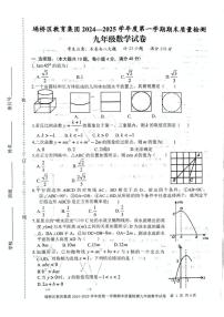 安徽省宿州市埇桥区教育集团2024-2025学年九年级上学期1月期末试卷数学试题