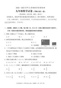 福建省漳州市2024—-2025学年八年级上学期期末教学质量检测数学试题（华东师大版A卷）