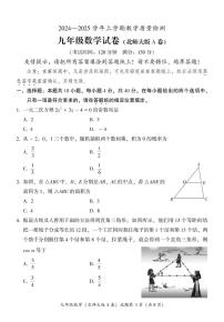 福建省漳州市2024—2025学年九年级上学期期末教学质量检测数学北师大版A卷