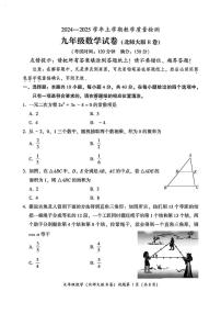 福建省漳州市2024—2025学年九年级上学期期末教学质量检测数学北师大版B卷