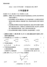 广东省河源市紫金县2024-2025学年上学期期末考试八年级数学试卷