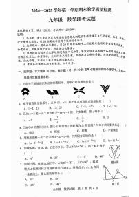 广东省云浮市罗定市2024—2025学年八年级上学期1月期末数学试题