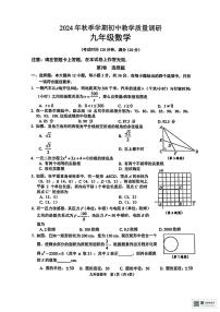 广西来宾市象州县2024-2025学年九年级上学期1月期末数学试题