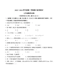 广东省茂名市高州市十校联考2024届九年级上学期期中考试数学试卷(含答案)