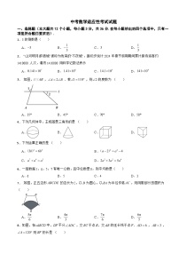 四川省泸州市纳溪区2024年中考数学适应性考试试题含答案