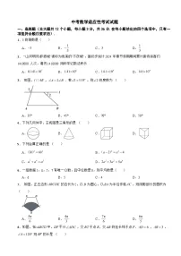 四川省泸州市纳溪区2024年中考数学适应性考试试题含答案