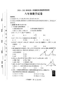 河南省洛阳市伊川县2024-2025学年上学期期末八年级数学试题