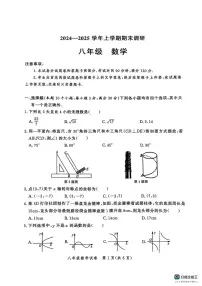 河南省郑州市二七与高新区2024-2025学年八年级上学期数学期末试卷