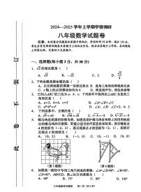 河南省郑州市中原区2024-2025学年八年级上学期期末试卷数学试题