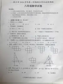 浙江省绍兴市嵊州市2024-2025学年八年级上学期1月期末数学试题