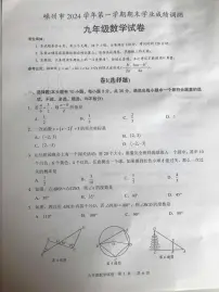 浙江省绍兴市嵊州市2024-2025学年九年级上学期1月期末数学试题
