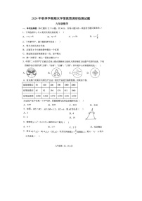 广西壮族自治区河池市都安瑶族自治县2024-2025学年上学期九年级数学期末试卷