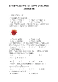 四川省遂宁市射洪中学校2024-2025学年七年级上学期12月期末 数学试题（含解析）