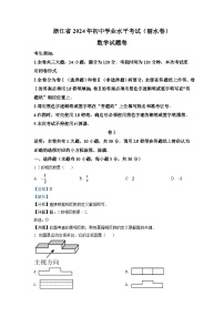2024年浙江省丽水市中考数学模拟试卷（解析版）