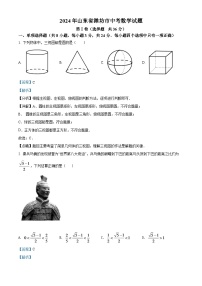 2024年山东省潍坊市中考数学模拟试卷（解析版）
