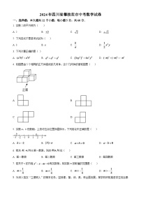 2024年四川省攀枝花市中考数学模拟试卷（原卷版）