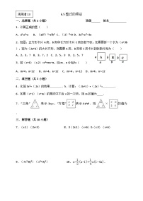 鲁教版（五四学制）（2024）六年级下册5 整式的乘法习题