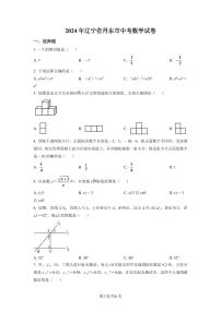 2024年辽宁省丹东市中考数学模拟试卷（原卷版）