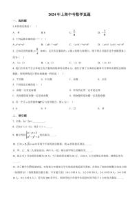 2024年上海中考数学模拟试卷（原卷版）