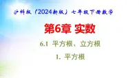 初中沪科版（2024）6.1 平方根、立方根教学ppt课件