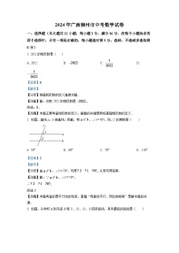 2024年广西柳州市中考数学模拟试卷（解析）