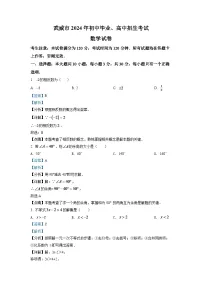 2024年甘肃省武威市中考数学模拟试卷（解析版）