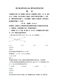 2024年四川省自贡市中考数学模拟试卷（解析版）