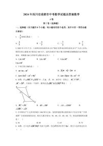 2024年四川省成都市中考数学模拟试卷（原卷版）