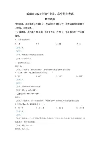2024年甘肃省武威中考数学模拟试卷（解析版）