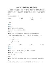 2024年广西柳州市中考数学模拟试卷（解析）