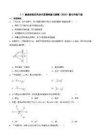 浙教版（2024）七年级下册（2024）1.1 直线的相交练习
