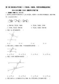 初中浙教版（2024）1.2 同位角、内错角、同旁内角课时训练