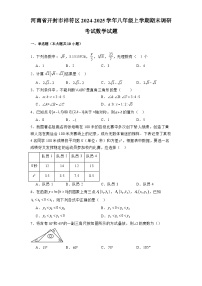 河南省开封市祥符区2024-2025学年八年级上学期期末调研考试 数学试题（含解析）