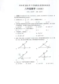 湖南省永州市祁阳市2024-2025学年八年级上学期期末质量检测 数学试卷（PDF版）