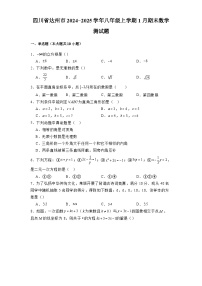 四川省达州市2024-2025学年八年级上学期1月期末 数学测试题（含解析）