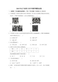 2024年辽宁省营口市中考数学模拟试卷（空白卷）