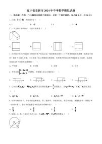 辽宁省阜新市2024年中考数学模拟试题（原卷版）