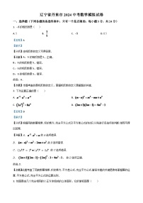 辽宁省丹东市2024年中考数学模拟试题（解析版）