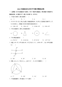 湖南省长沙市2024年中考数学模拟试题及答案