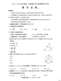 河北省邢台市任泽区2024-2025学年九年级上学期1月期末数学试题