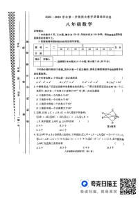 河南省洛阳市新安县2024-2025学年八年级上学期1月期末数学试题