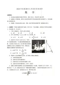 河南省南阳市方城县2024-2025学年九年级上学期1月期末数学试题