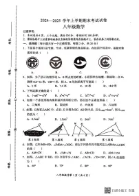河南省新乡市长垣市2024-2025学年八年级上学期期末考试数学试卷