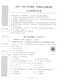 湖北省武汉市洪山区2024-2025学年九年级上学期期末考试数学试卷