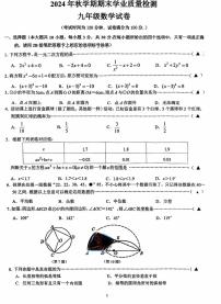 江苏省无锡市新吴区2024—2025学年上学期九年级数学期末卷